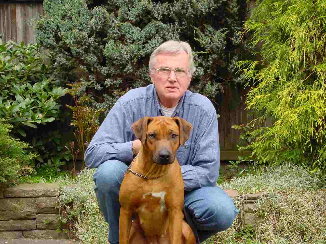 Rhodesian Ridgeback