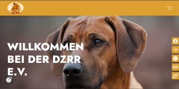 Logo DZRR